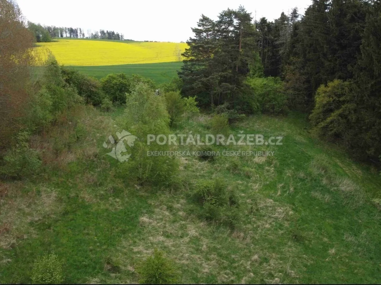 Pozemek o velikosti 16180m2, Křenov