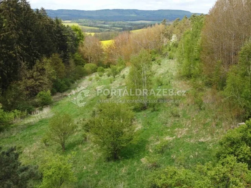 Pozemek o velikosti 16180m2, Křenov