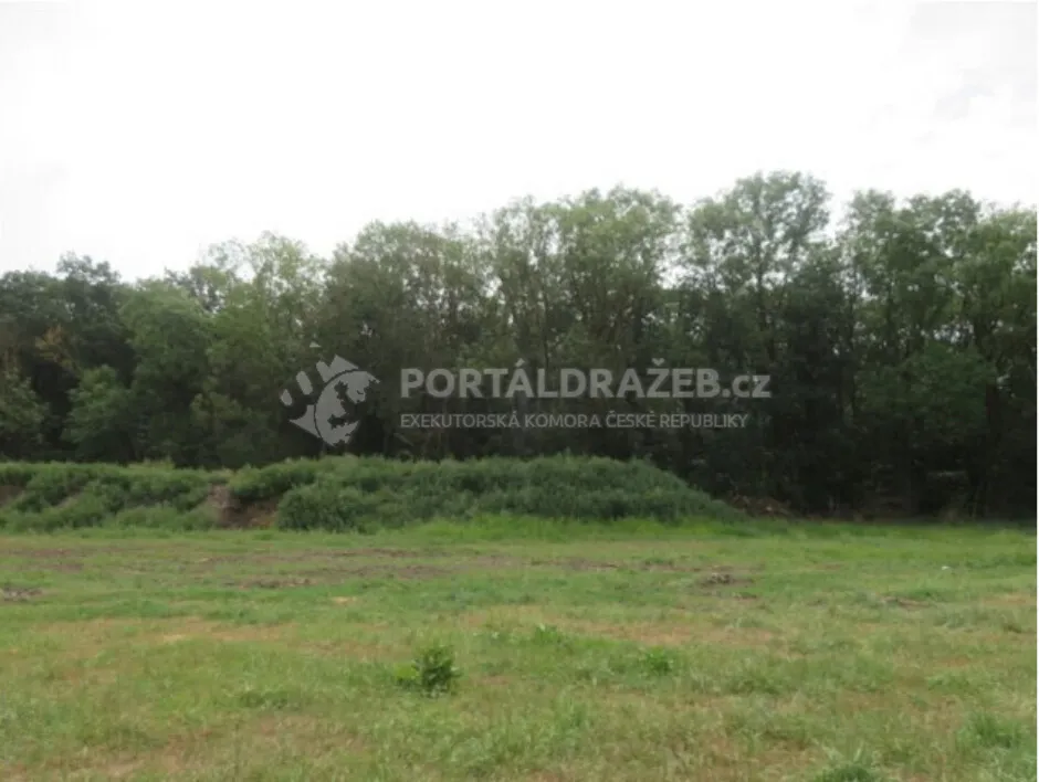 Rodinný fům Slatiny, okres Jičín. Zahrada, lesní pozemky.
