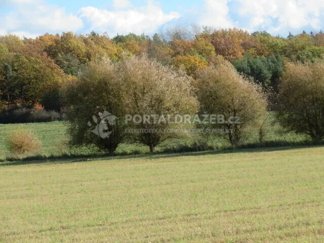 Pozemek o velikosti 9691m2, Vejprnice