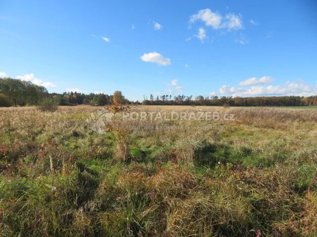Pozemek o velikosti 9691m2, Vejprnice