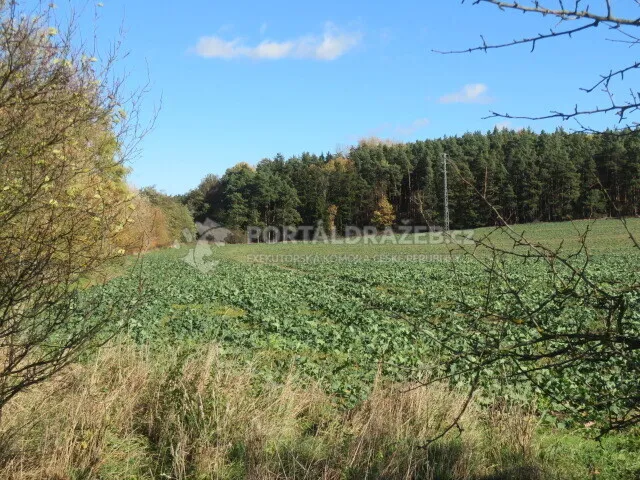 Pozemek o velikosti 9691m2, Vejprnice