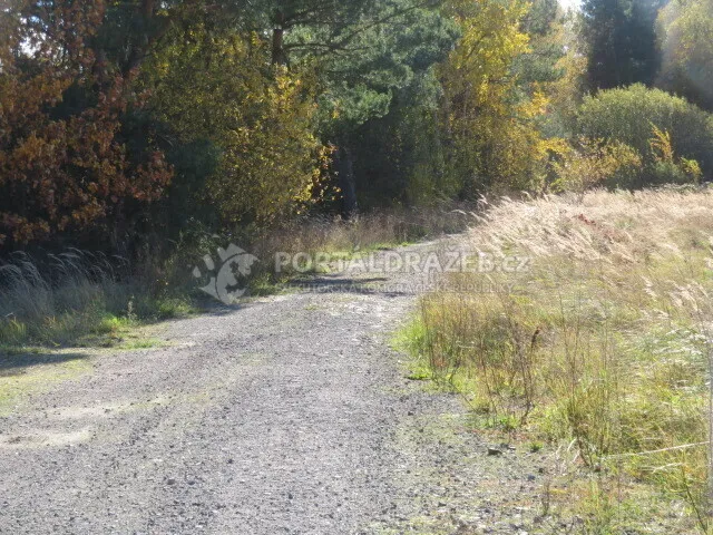 Pozemek o velikosti 9691m2, Vejprnice