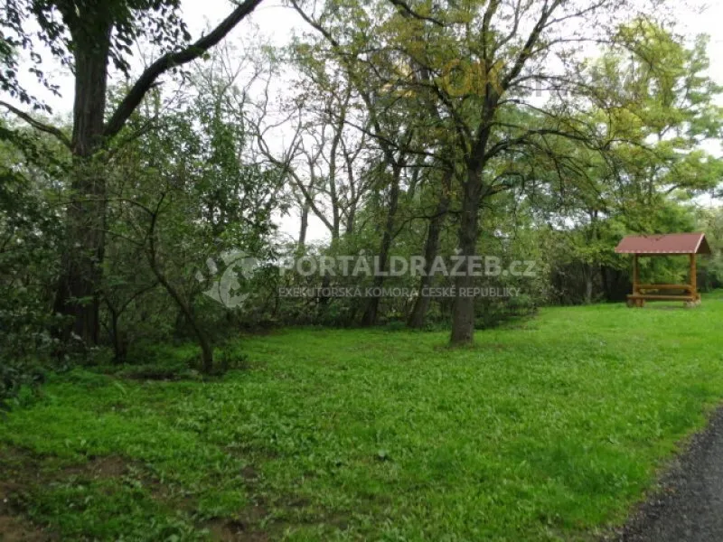 OPAKOVANÁ DRAŽBA pozemky v obci Dyjákovičky, okres Znojmo