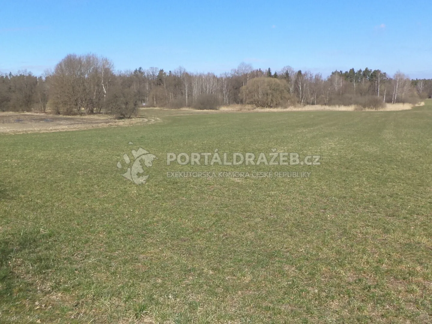 Pozemek o velikosti 5200m2, Stříbřec