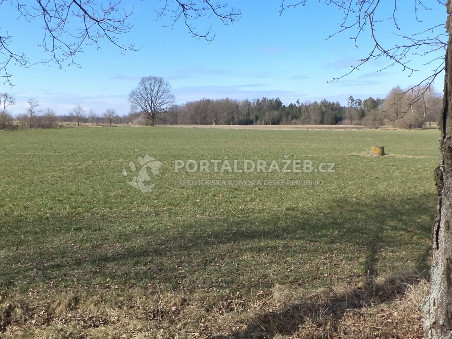 Pozemek o velikosti 5200m2, Stříbřec