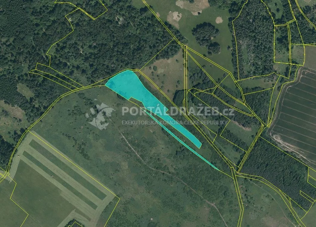 Pozemky 17 271 m2, obec Černošín