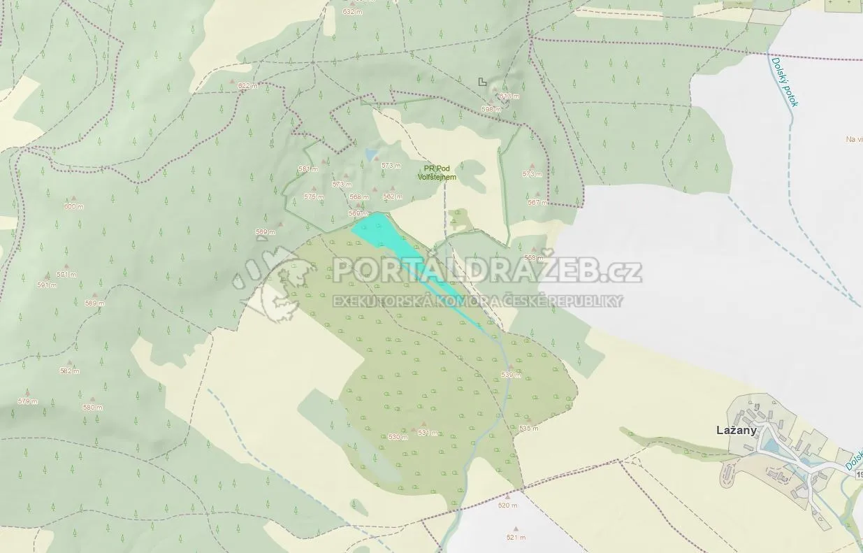 Pozemky 17 271 m2, obec Černošín