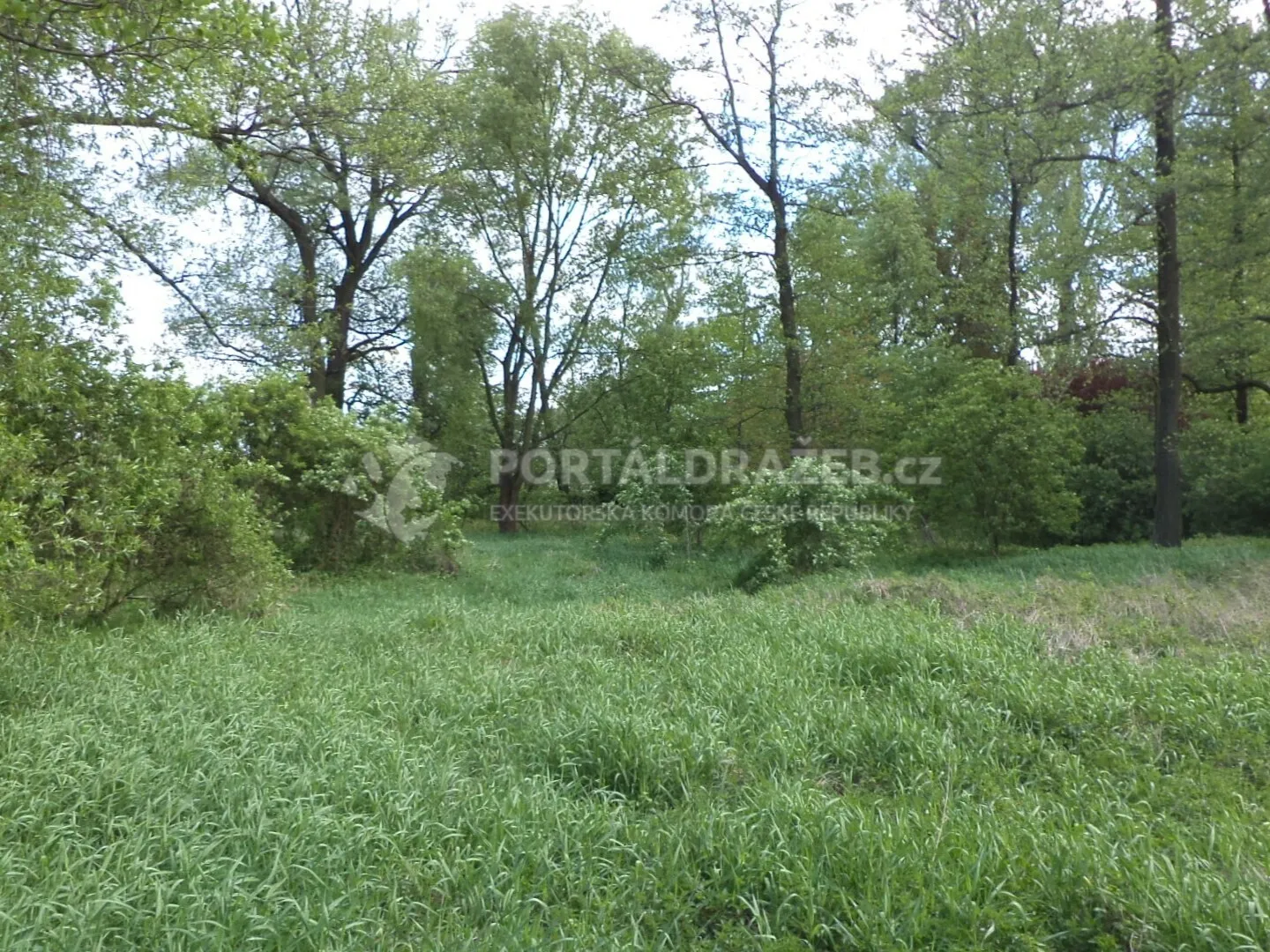 Pozemek o velikosti 1844m2, Koukolná