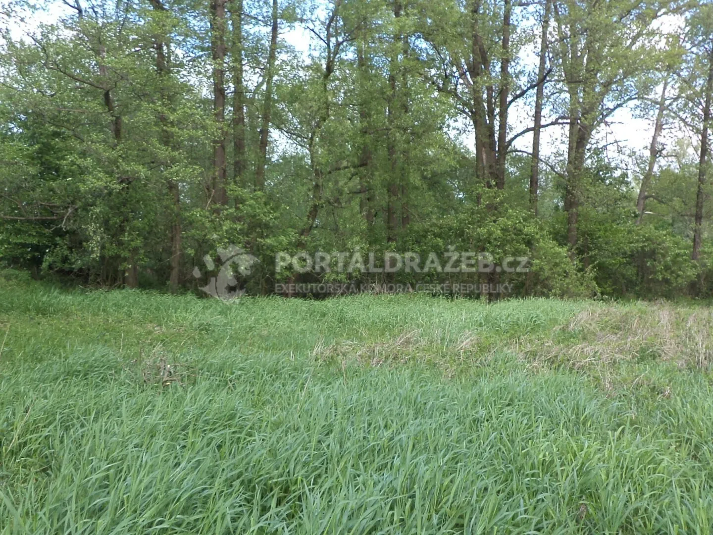 Pozemek o velikosti 1844m2, Koukolná