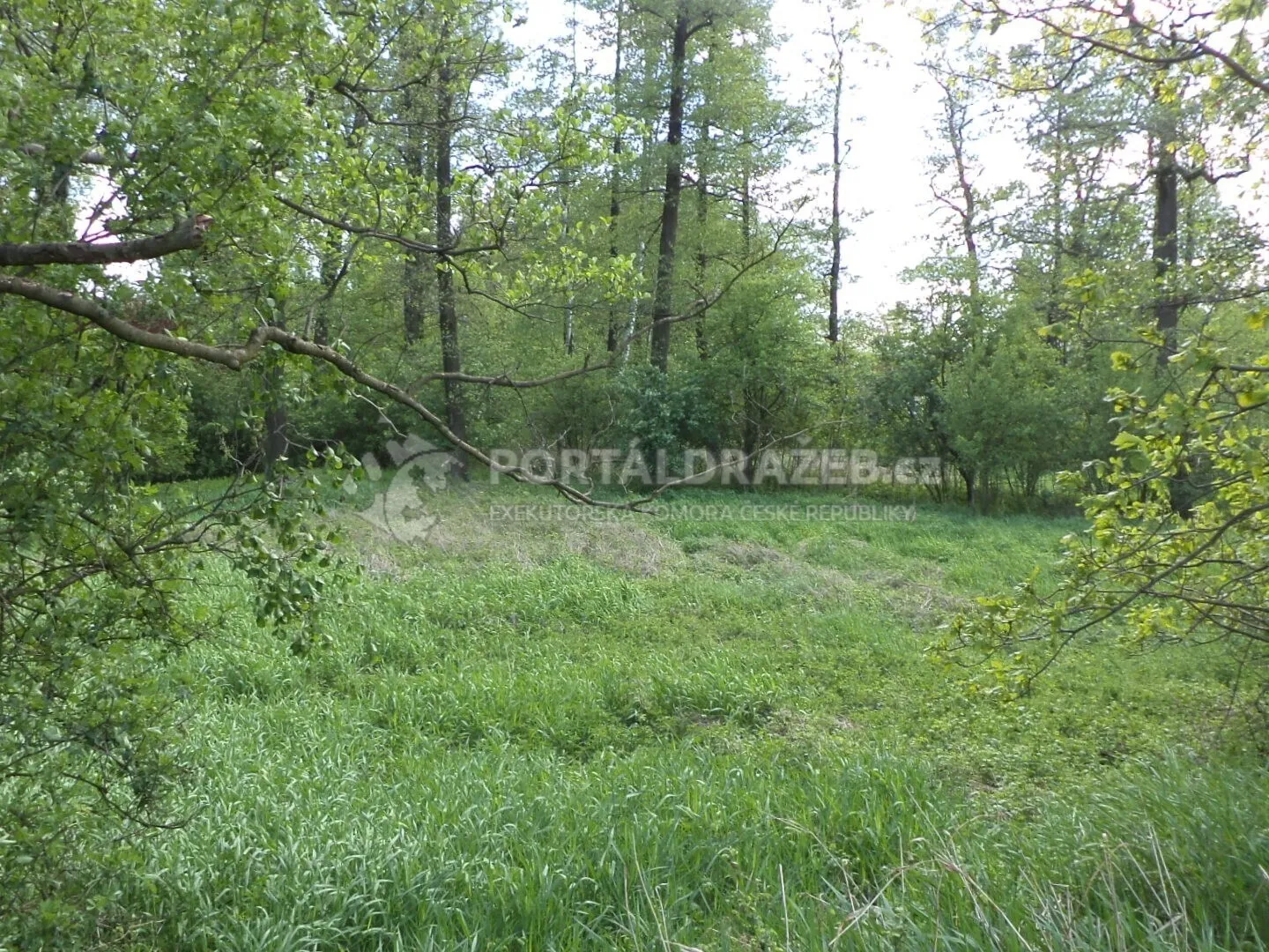 Pozemek o velikosti 1844m2, Koukolná