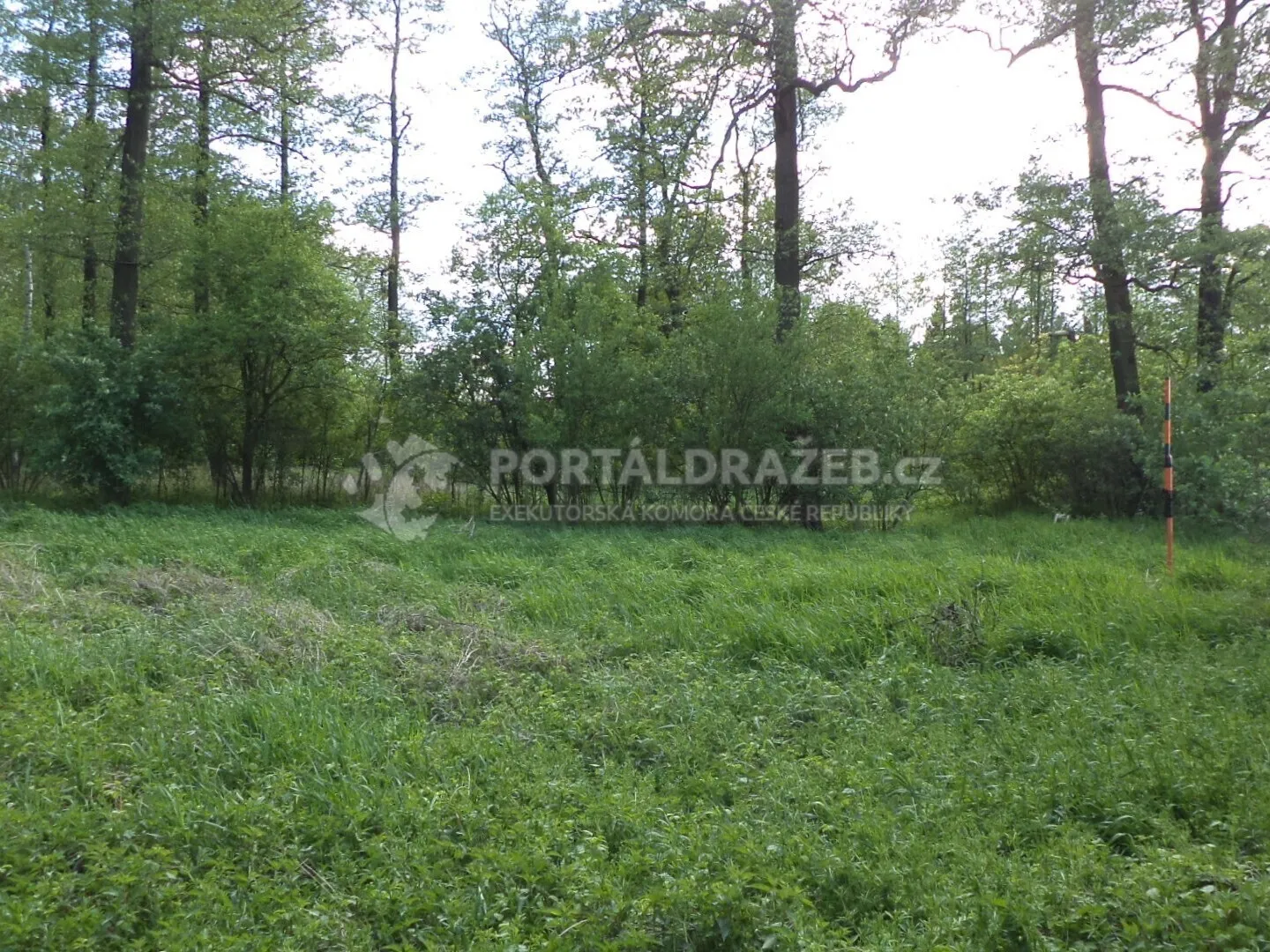 Pozemek o velikosti 1844m2, Koukolná