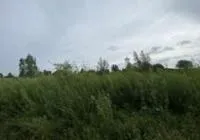 Žemės sklypas, 10,45 a. (0,1 ha.) Klaipėdos m. sav. Klaipėdos m. Užlaukio g. 45