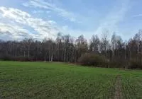Žemės sklypas, 95,44 a. (0,95 ha.) Kėdainių r. sav. Okainių k.