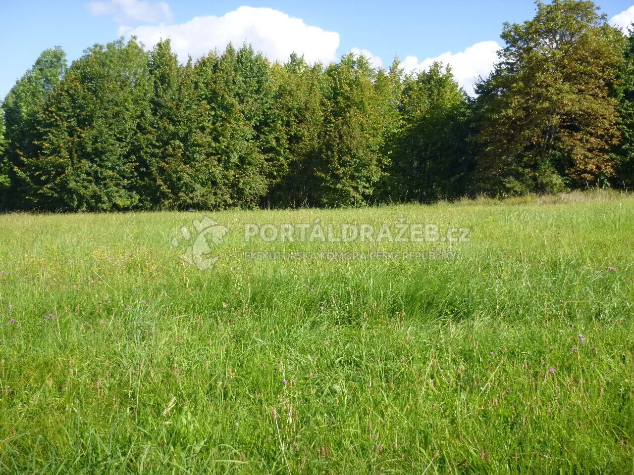 Pozemky v k.ú. Hrádek, okr. Frýdek-Místek