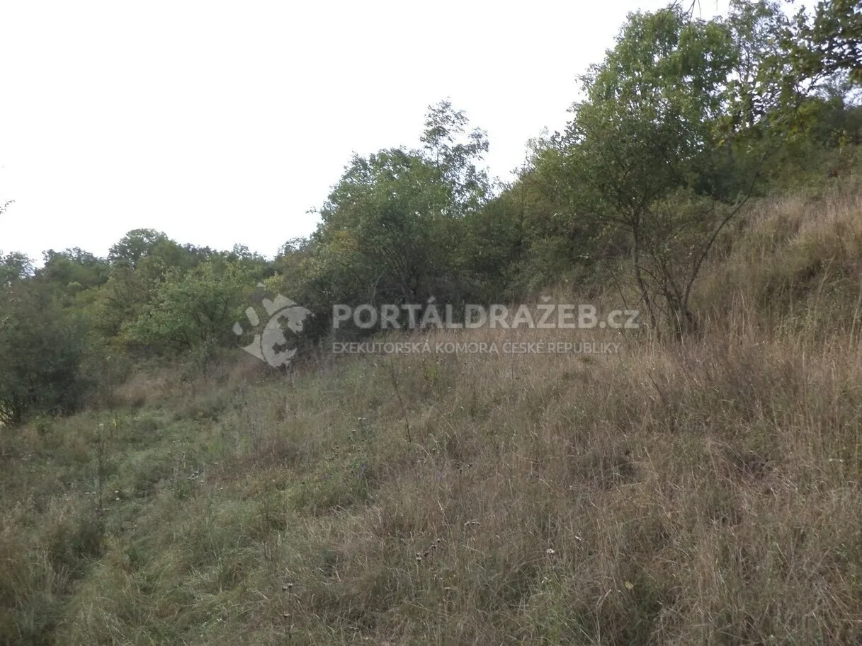 Pozemek o velikosti 22441m2, Stadice