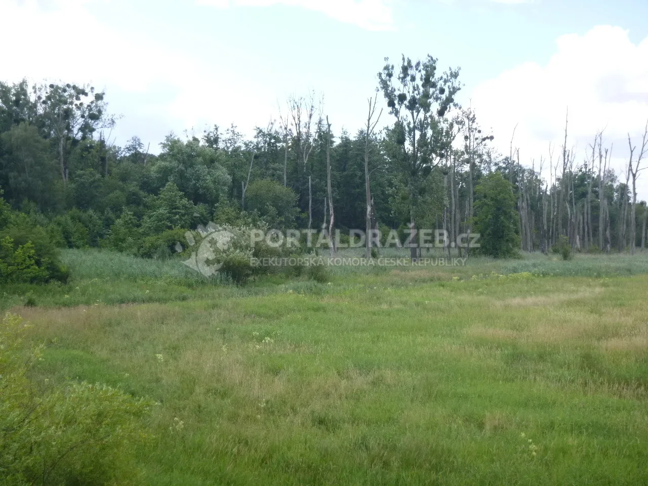 Podíl 1/4 na pozemku v k.ú. Bartošovice, okres Nový Jičín