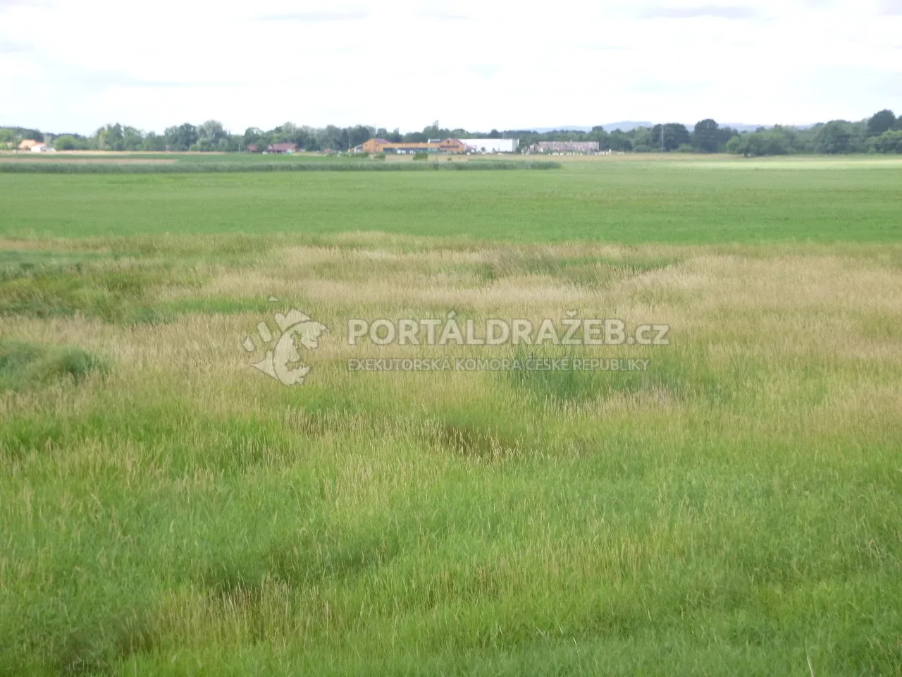 Podíl 1/4 na pozemku v k.ú. Bartošovice, okres Nový Jičín