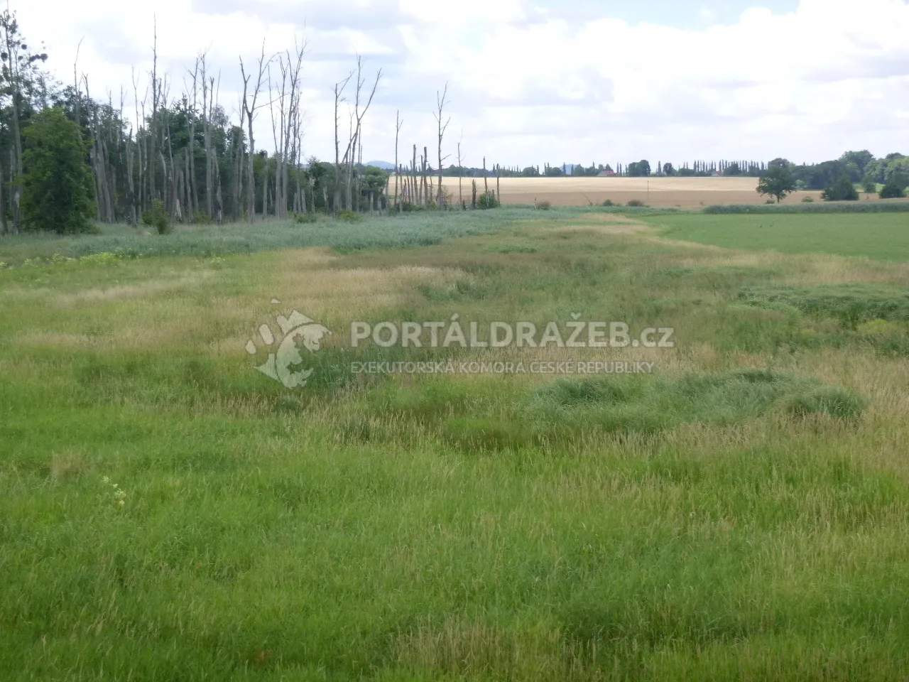 Podíl 1/4 na pozemku v k.ú. Bartošovice, okres Nový Jičín