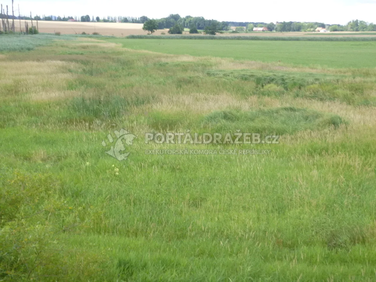 Podíl 1/4 na pozemku v k.ú. Bartošovice, okres Nový Jičín