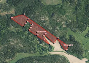 Ulosmitattu metsäkiinteistö Virolahdella