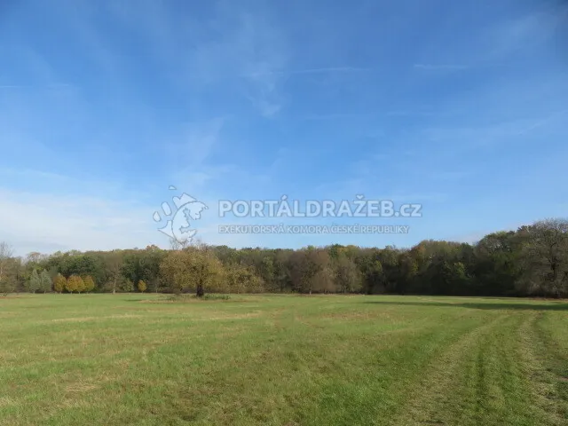 Dražba spoluvlastnického podílu ve výši id. 1/88 na lesních pozemcích, Mikulčice