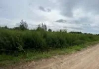 Žemės sklypas, 9 a. (0,09 ha.) Klaipėdos m. sav. Klaipėdos m. Užlaukio g. 49