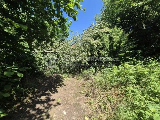 Podíl id. 1/3 na stavebním pozemku 4 244 m² v Ondřejově u Prahy