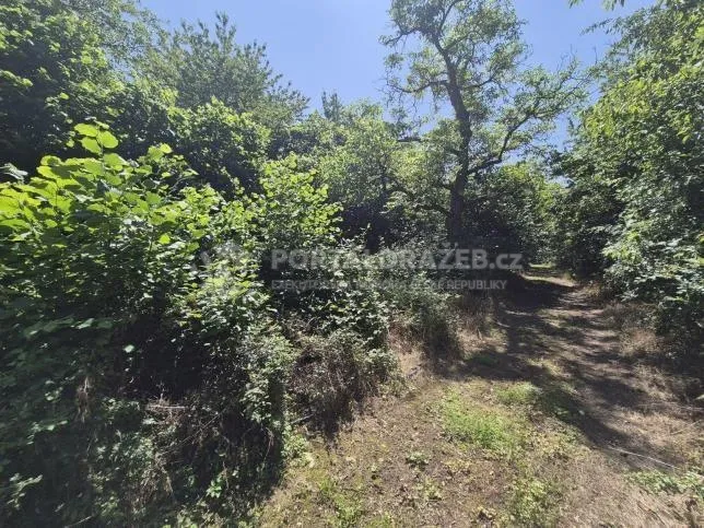 Podíl id. 1/3 na stavebním pozemku 4 244 m² v Ondřejově u Prahy