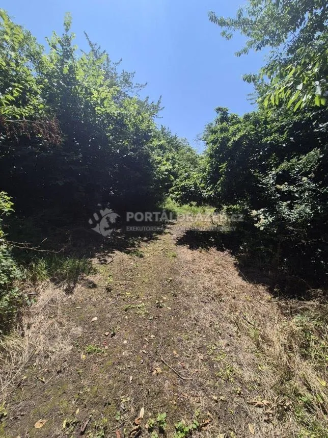 Podíl id. 1/3 na stavebním pozemku 4 244 m² v Ondřejově u Prahy