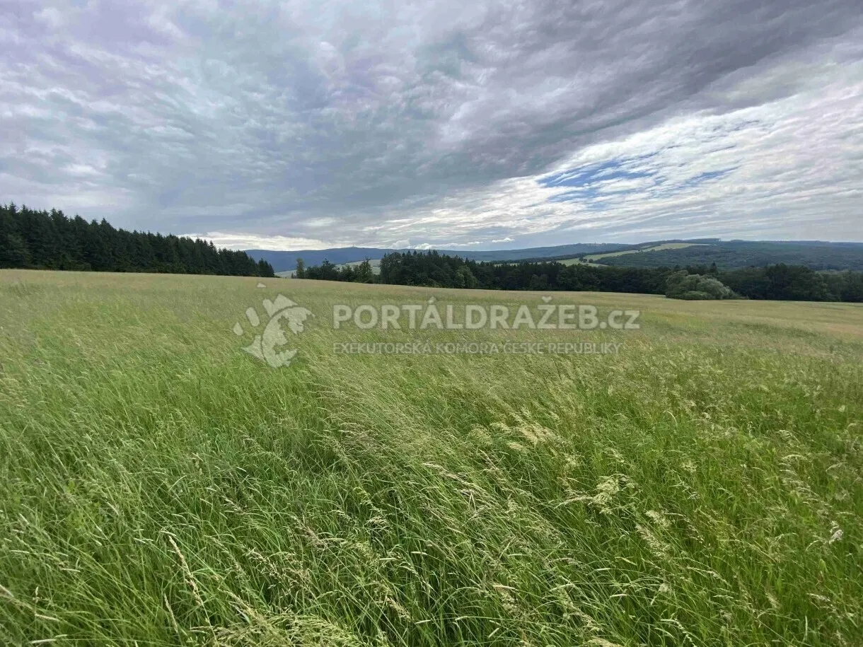 Pozemek o velikosti 7545m2, Korytná